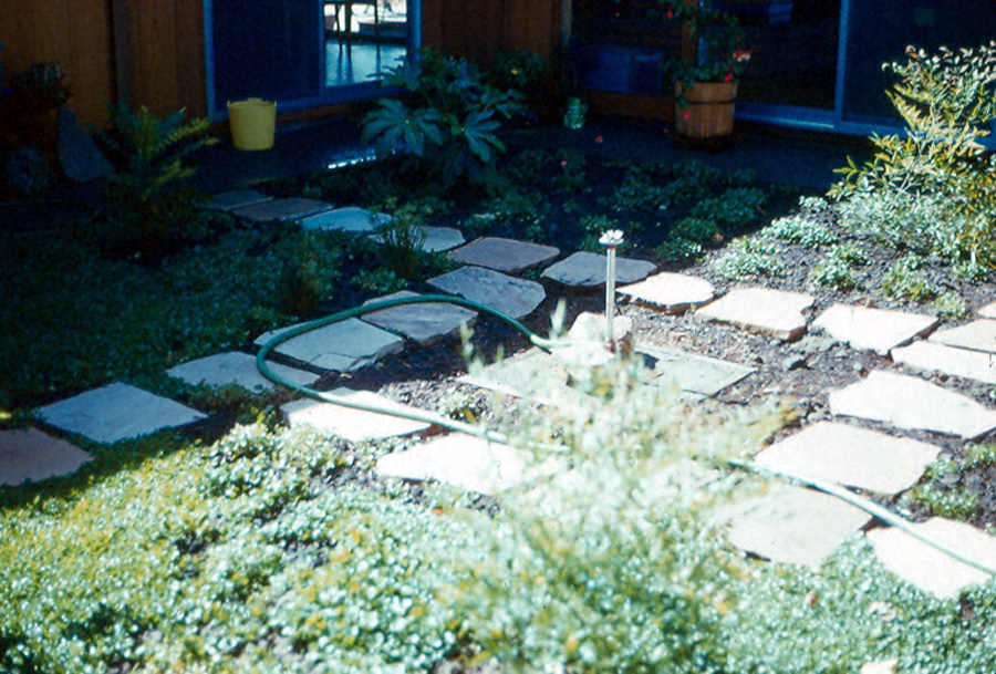 Box22 034 716 atrium 61